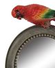 A & B Home Brown Parrot Frame Mirror-1