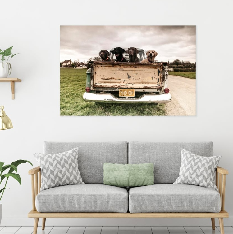Yosemite Home Decor Old Friends