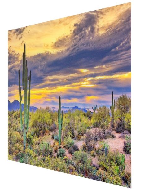 YHD Saguaro Sunset Wall Art-2