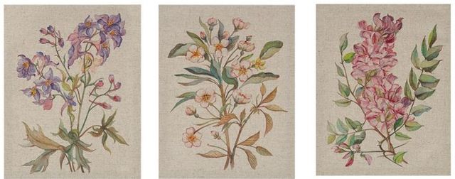 Olliix by Madison Park Linen Botanicals 3 Piece Multicolor Printed Linen Canvas Set-0