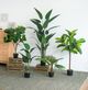 A & B Home Green 45" Birds of Paradise Tree in Pot-3