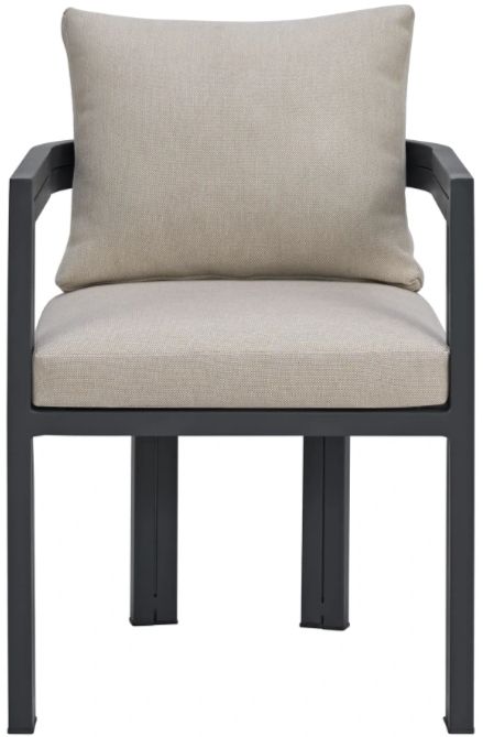 Elements International Playa Dark Gray/Olefin Beige Fabric/Metal Outdoor Dining Chair-2