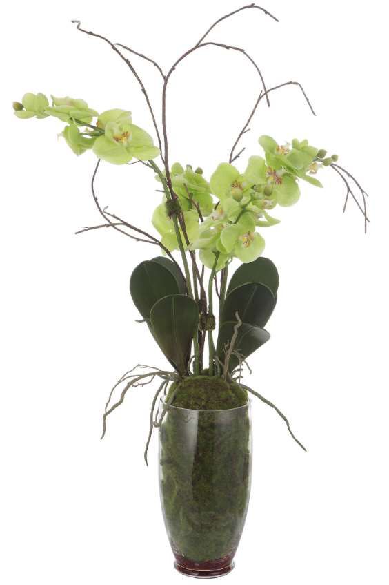 Uttermost® Valdive Green Orchid-2