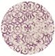 Feizy Lorrain Violet 10' Round Rug-0