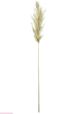 A & B Home Cream Dried Natural Pampas Grass Bundle-1