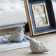 A & B Home Florence de Dampierre 2-Piece Whitewashed Sparrow Bird Accent Set-1