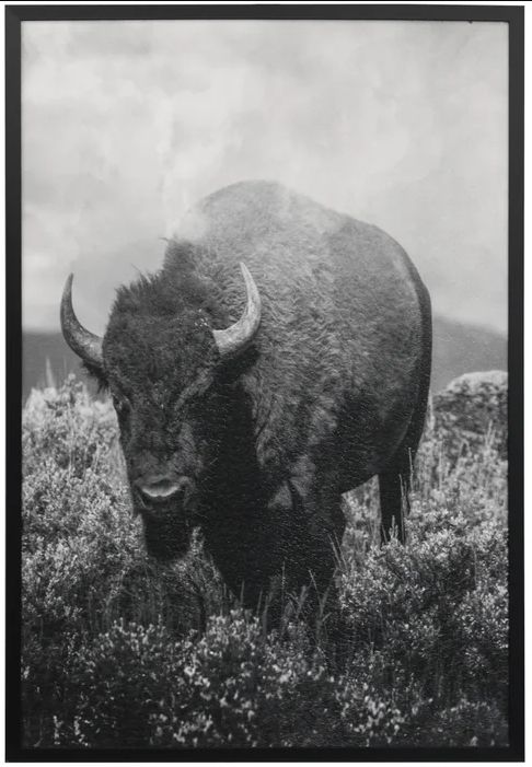 Stylecraft Wandering Bison II Wall Art-0