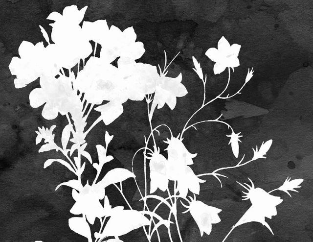 Classy Art Black/White Botanical II by Carol Robinson Wall Art-2