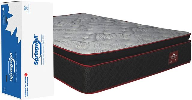 Springwall® True North Chiropractic® Bruce 11" Wrapped Coil Medium Firm Euro Top Queen Mattress in a Box-3