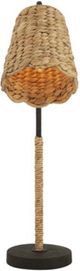 Currey & Company Annabelle Natural/Mole Black Desk Lamp-1