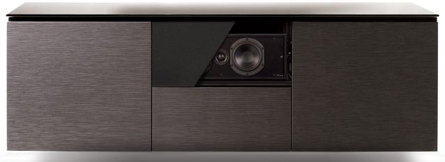 Salamander Designs® Leon® Chameleon Single-Wide Center Channel Speaker-Matte Black