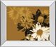 Classy Living A. Project Golden Bloom Il Wall Art-0