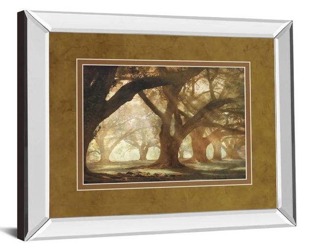 Classy Art Oak Alley Morning Light by William Guion Mirror Framed Wall Art-1