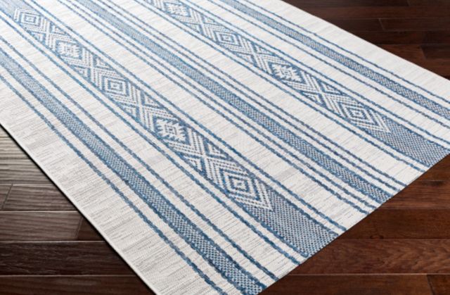 Surya Eagean Navy/Off-White 4'x6' Area Rug-2