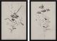 Renwil® Adeline 2-Piece Wall Art Set-0