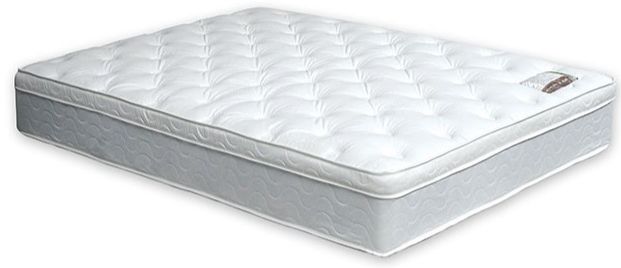 Furniture of America® Bird of Paradise Firm Euro Pillow Top Mattress-Twin-0