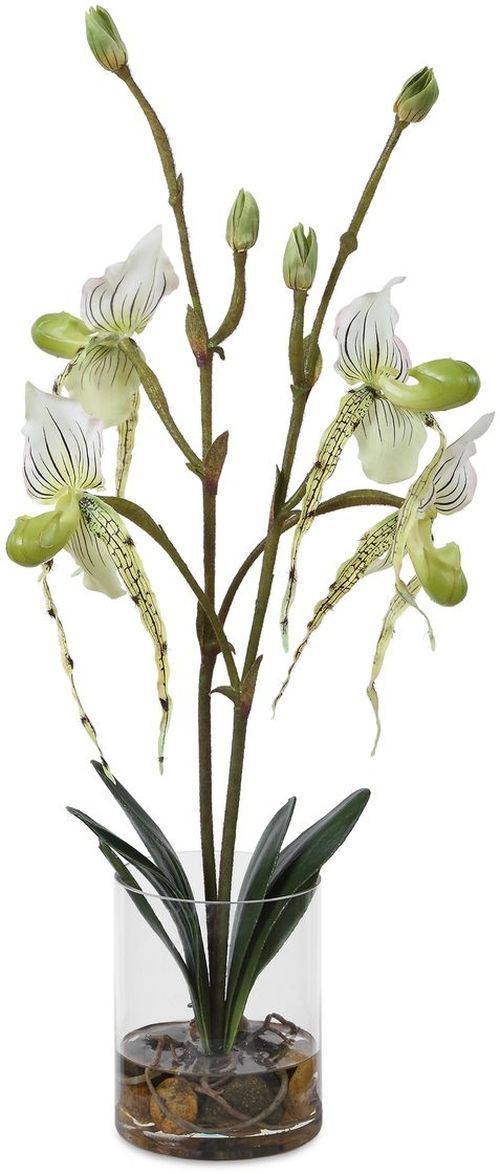 Uttermost® Lady Slipper Green/White Orchid-0