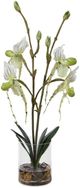 Uttermost® Lady Slipper Green/White Orchid-0