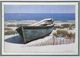 Stylecraft Blue Dory Wall Art-0