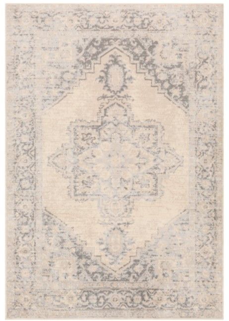 Surya City Light Cream/Light Gray 4'x6' Area Rug-0