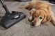 Miele Classic C1 Cat & Dog Lotus White Canister Vacuum - Classic C1 Cat & Dog-5