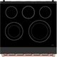 Thor Kitchen 30" Black Pro Style Electric Range with Precision Knob Control & Rose Gold Hardware-5