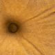 Surya Serengeti Camel 18"x18" Toss Pillow-1