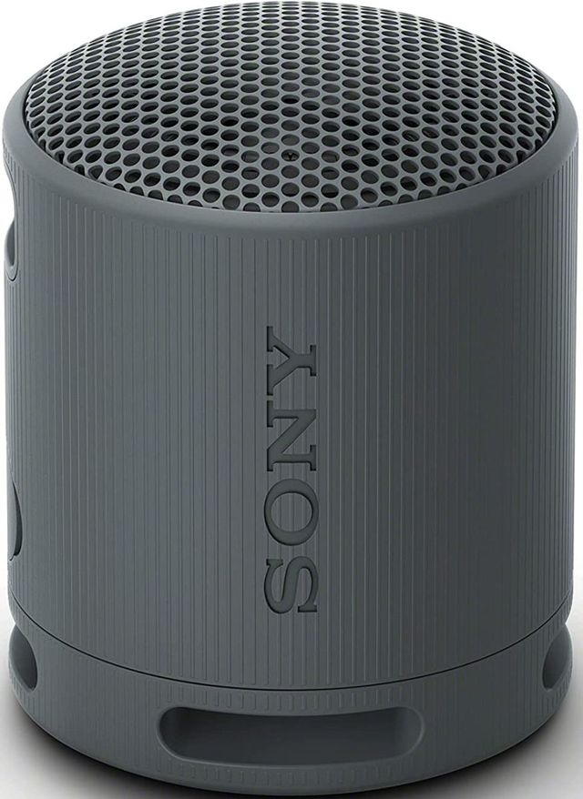 Sony® Black Wireless Portable Speaker-1