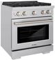 ZLINE 30" Stainless Steel Pro Style Gas Range-1