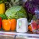 GreenTech™ pureAir Fridge Refrigerator Purification-5