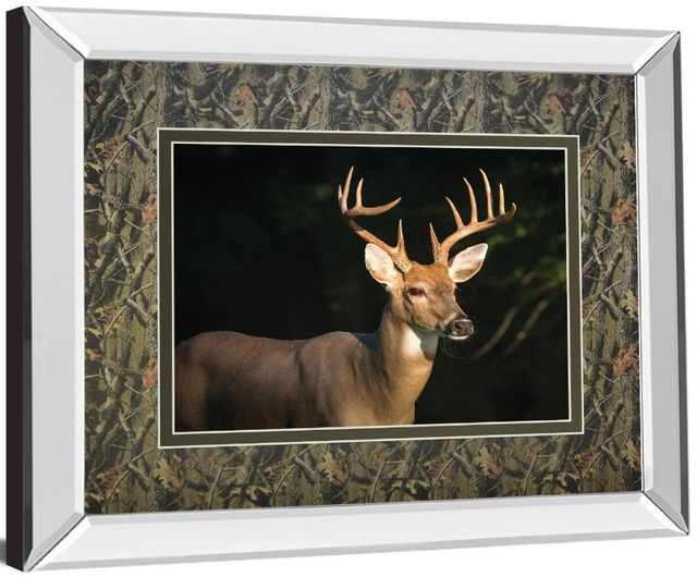 Classy Living Tony Campbell White Tail Buck Wall Art-3