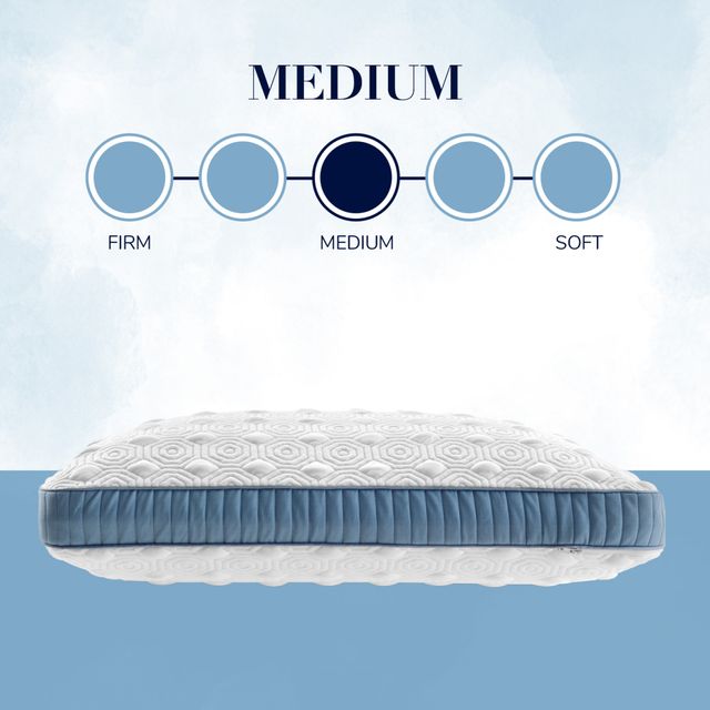 Stearns & Foster® Studio Latex Standard Bed Pillow-151131P4-5