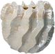 A & B Home Coral Vase-0