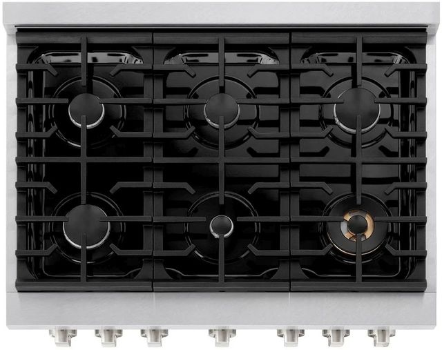 ZLINE Paramount 36" Satin Stainless Steel Pro Style Dual Fuel Range with Black Matte Door-3