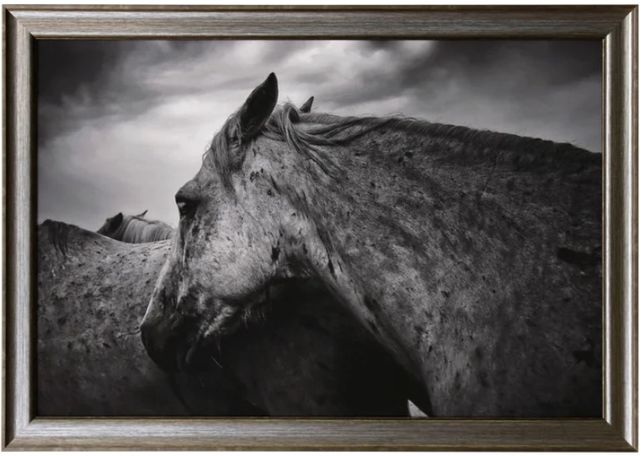 Stylecraft Wild Horses Framed Print-0