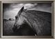 Stylecraft Wild Horses Framed Print-0