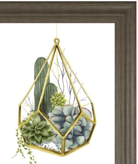 Classy Living Grace Popp Wild Terrarium IV Wall Art-1