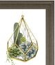Classy Living Grace Popp Wild Terrarium IV Wall Art-1
