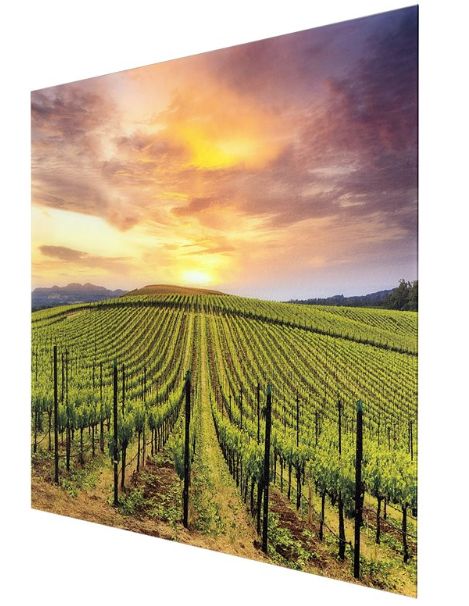 YHD Grapevines Wall Art-1