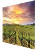 YHD Grapevines Wall Art-1