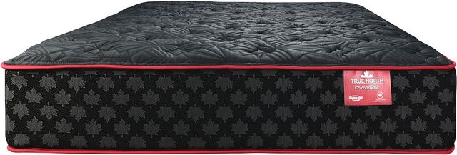 Springwall® True North Chiropractic® Anniversary 2-Sided 13" Wrapped Coil Firm Tight Top Queen RV Mattress in a Box-2