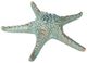 A & B Home Seafoam Green Large Starfish-0