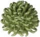 A & B Home Green Coral Decorative Object-0