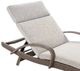 Signature Design by Ashley® Revare Beach Beige/Gray Fabric/Resin Wicker Outdoor Chaise Lounge-1