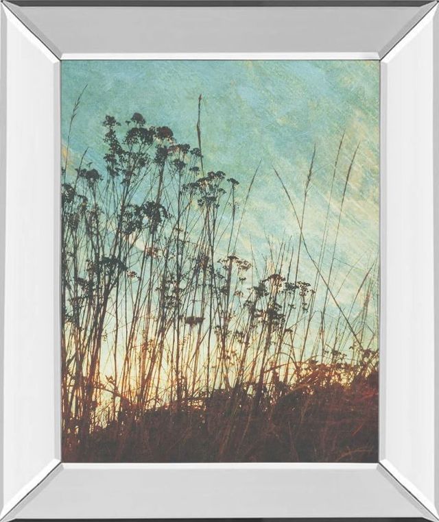 Classy Art Wild Grass by Amy Melious Mirror Framed Wall Art-0
