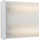 YHD White 2-Light Overhead Fluorescent Lighting-4