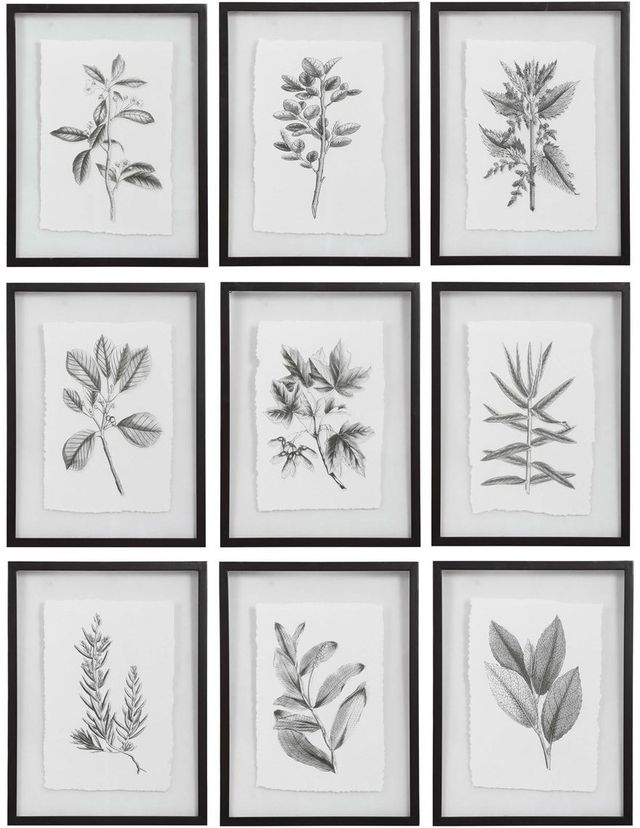 Uttermost® 9-Piece Farmhouse Florals Framed Prints Set-0