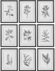 Uttermost® 9-Piece Farmhouse Florals Framed Prints Set-0