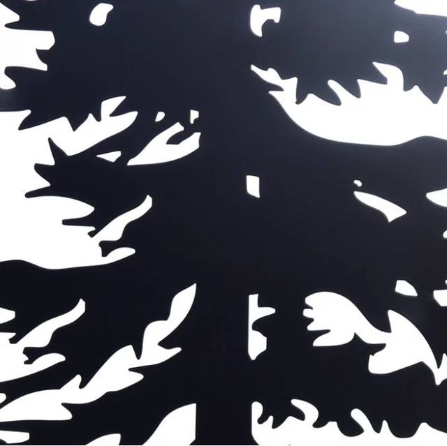 StyleCraft Cypres II Black/White Wall Art-2
