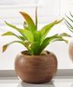 Giftcraft 3-Piece Brown/Green Assorted Potted Succulent Set-1